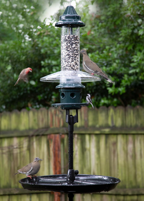 Brome 1108-V01 Single Pole kit, Black