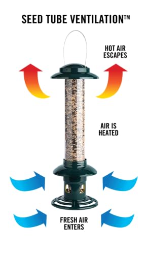 Squirrel Buster Evolution Truly Squirrel-Proof Bird Feeder, Double Cardinal Ring, 1.9-Pound Seed Capacity, Green