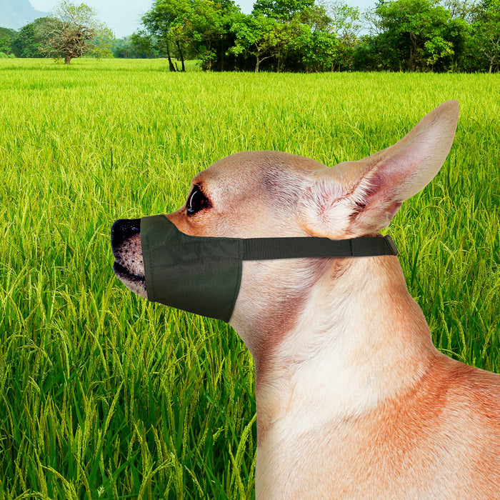 FOUR PAWS WALK ABOUT QUICK FIT DOG MUZZLE
