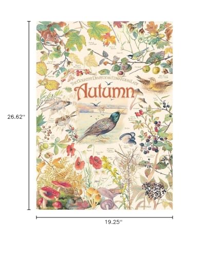 Country Diary: Autumn Puzzle 1