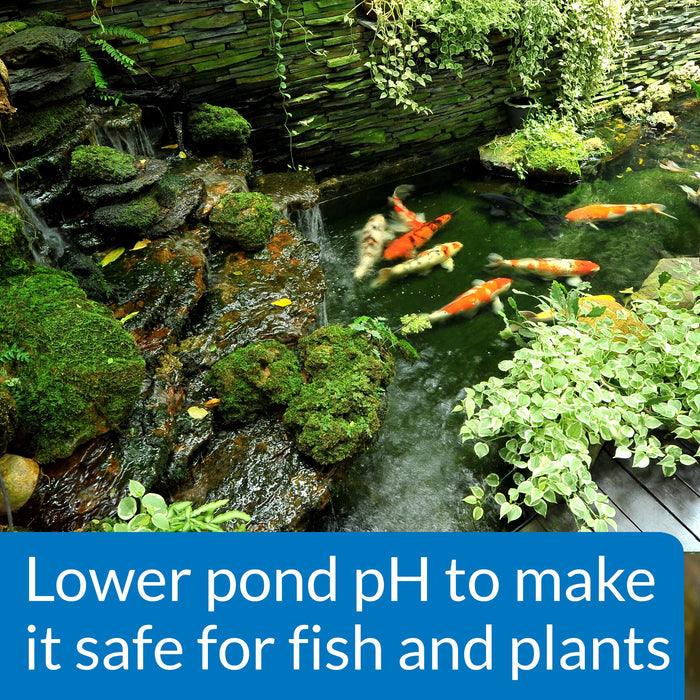 API POND PH DOWN