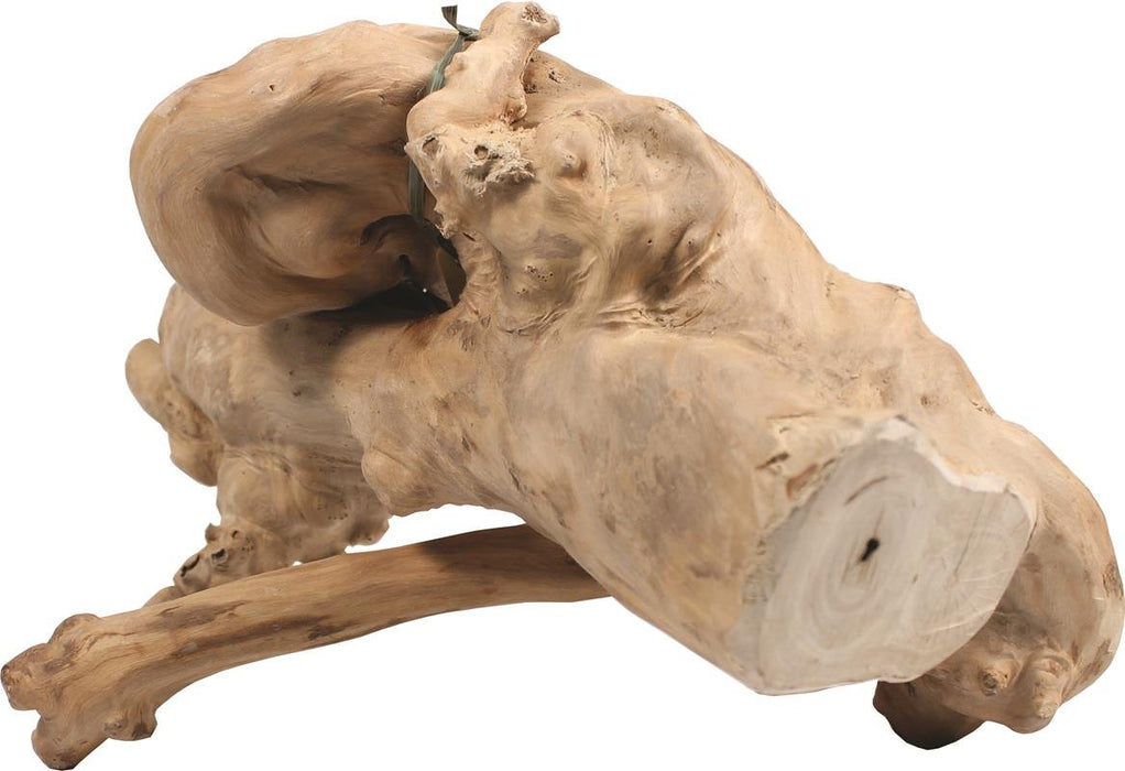 JAVA WOOD REPTILE BRANCH