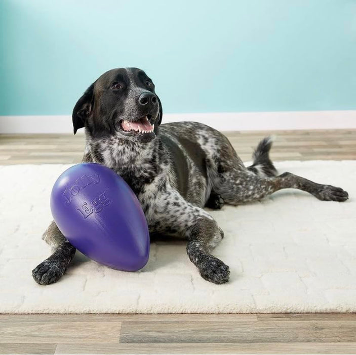 JOLLY PETS EGG