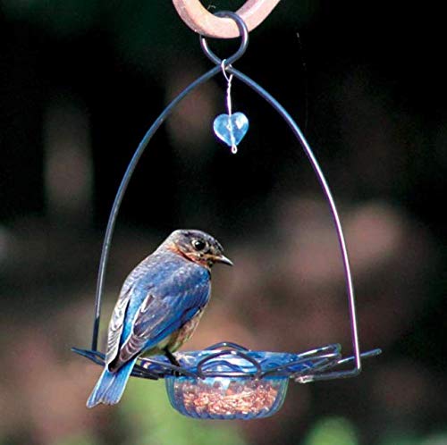Birds Choice Bluebird Flower Decorative Blue and Black Bird Feeder