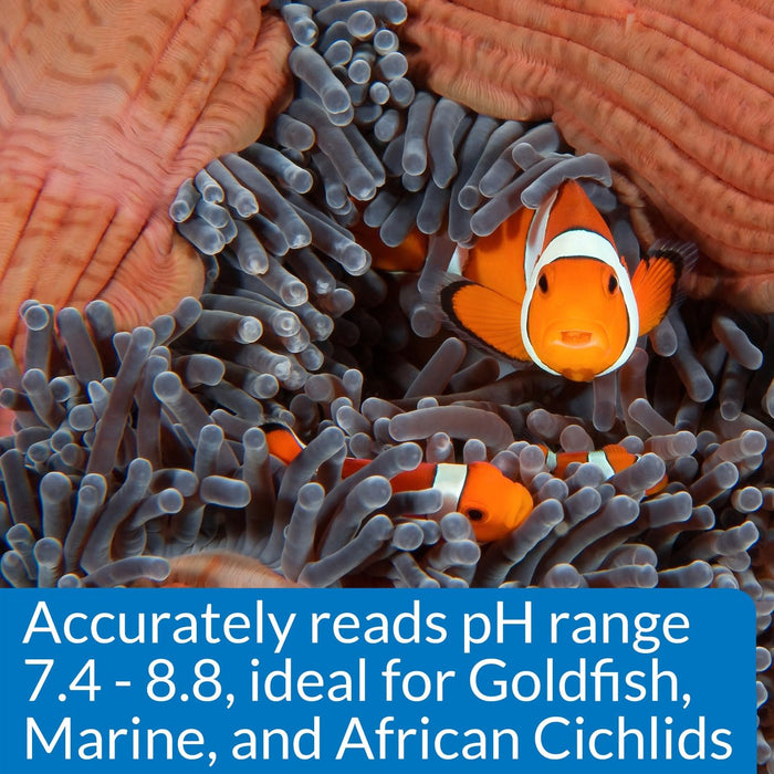 API HIGH RANGE PH TEST KIT FOR FRESH & SALTWATER
