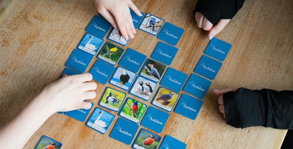 MasterPieces Puzzles Audubon Bird Matching Game