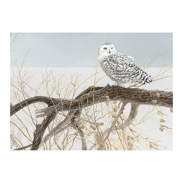 Fallen Willow Snowy Owl Puzzle