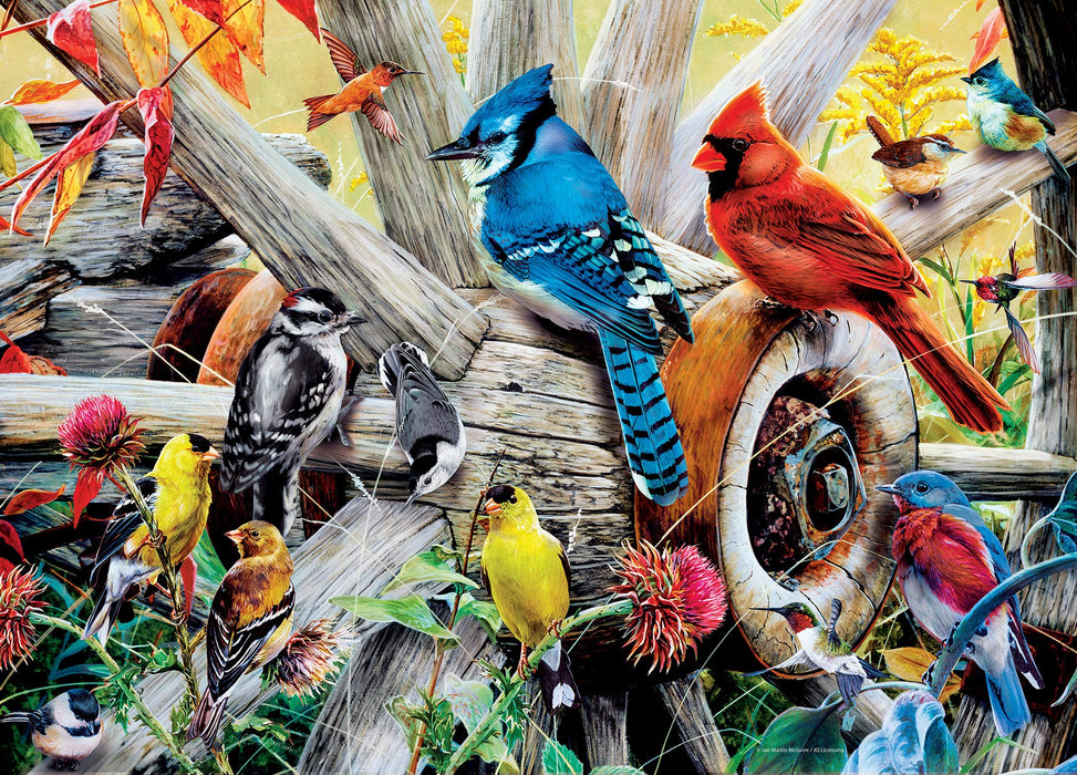 MasterPieces Puzzles Audubon Backyard Birds 1000 Piece Puzzle