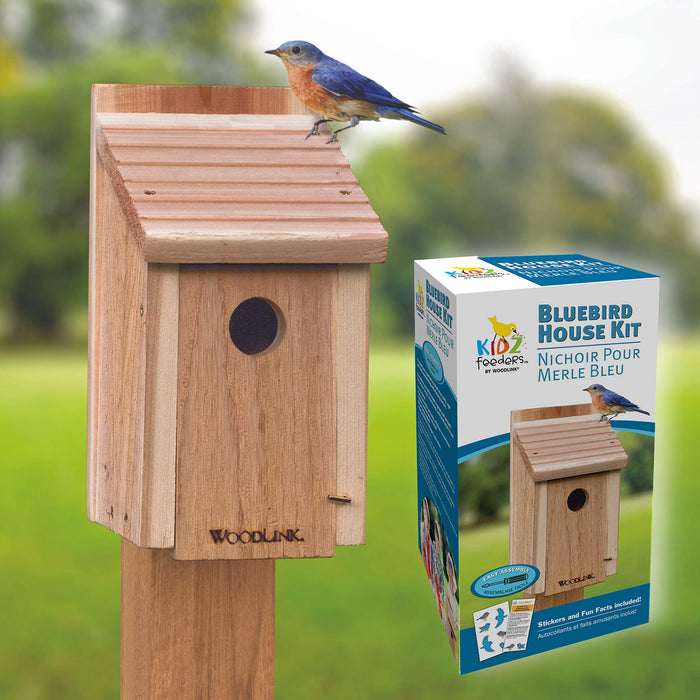 AUDUBON DIY CRAFT KIT BLUEBIRD HOUSE