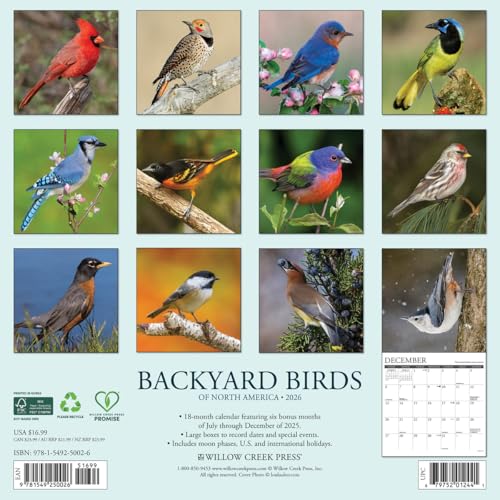 Willow Creek Press Squirrels 2026 Calendar