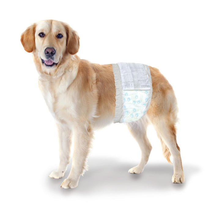 WEE-WEE DISPOSABLE MALE DOG WRAPS