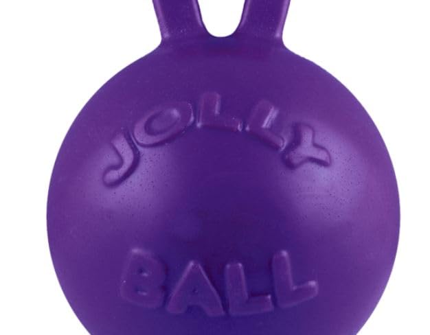 JOLLY PETS TUG-N-TOSS BALL