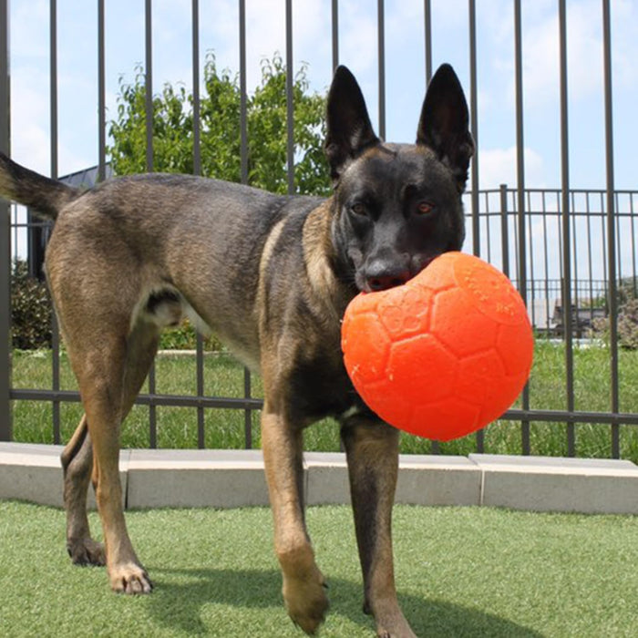 JOLLY PETS SOCCER BALL