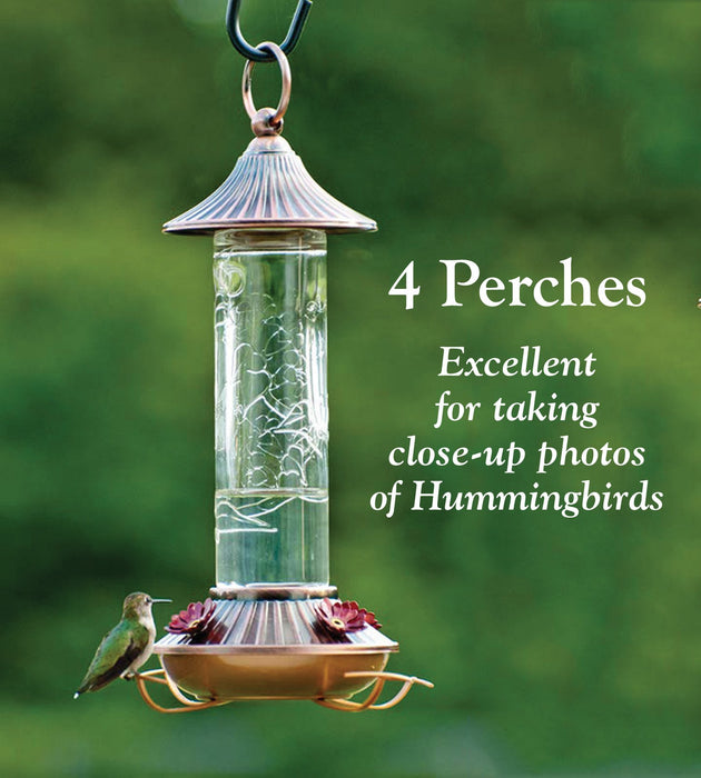 AUDUBON EMBOSSED GLASS HUMMINGBIRD FEEDER