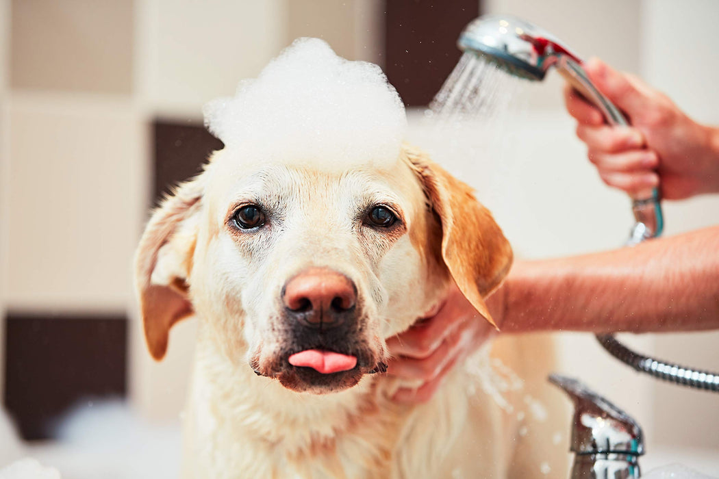 MANE 'N TAIL PRO-TECT MEDICATED SHAMPOO