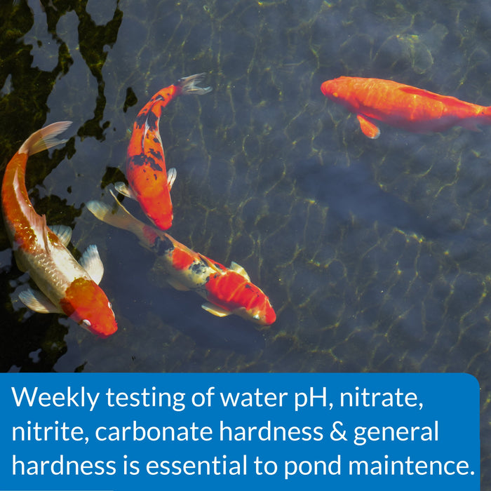 API POND 5 IN 1  TEST STRIPS