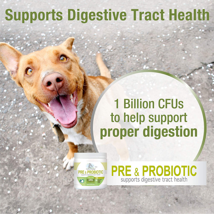 HEALTHY PROMISE PRE-PROBIOTIC CHEW FOR DOGS