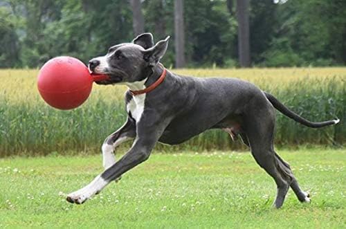 JOLLY PETS TUG-N-TOSS BALL