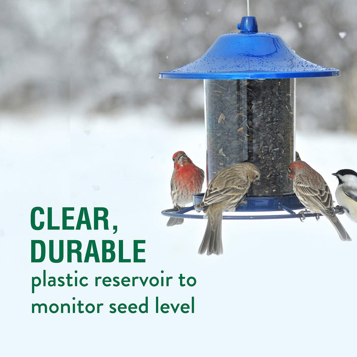Blue Sparkle Panorama Feeder