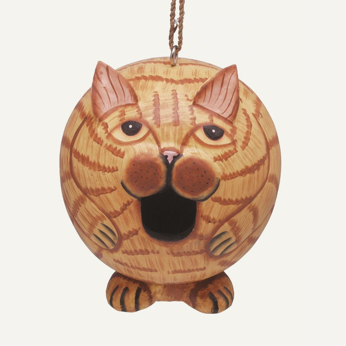 Bobbo from Songbird Essentials Orange Tabby Cat Gord-O Bird House