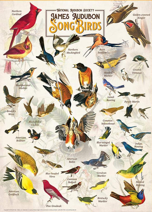 MasterPieces Puzzles Audubon - Songbirds 1000 Piece Puzzle