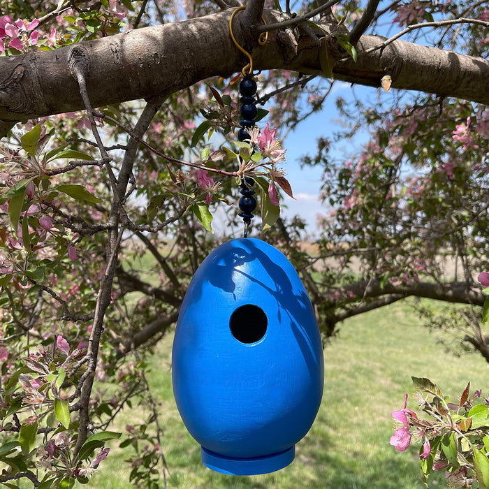Bobbo from Songbird Essentials Blue Egg Bird House