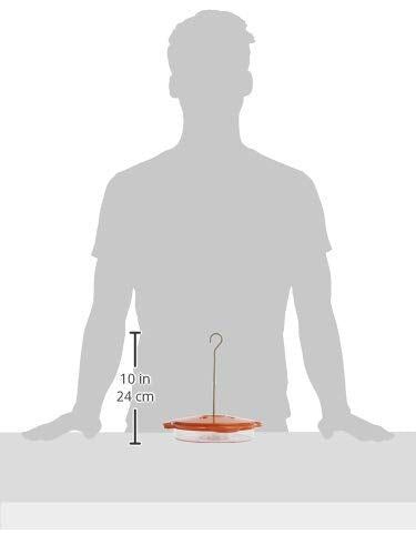 AUDUBON 3-IN-1 ORIOLE DISH FEEDER