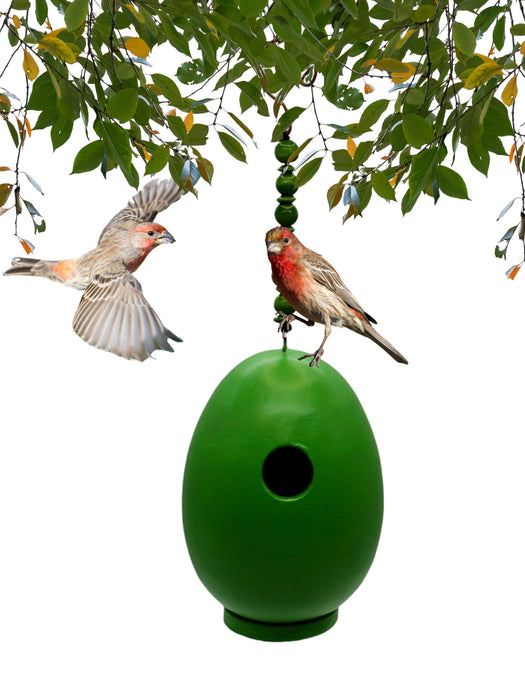 Bobbo from Songbird Essentials Green Egg Bird House