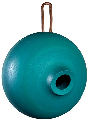 Mango Tree Ellipse Bird House