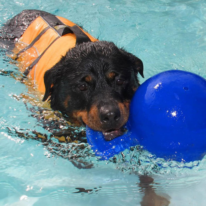 JOLLY PETS TUG-N-TOSS BALL
