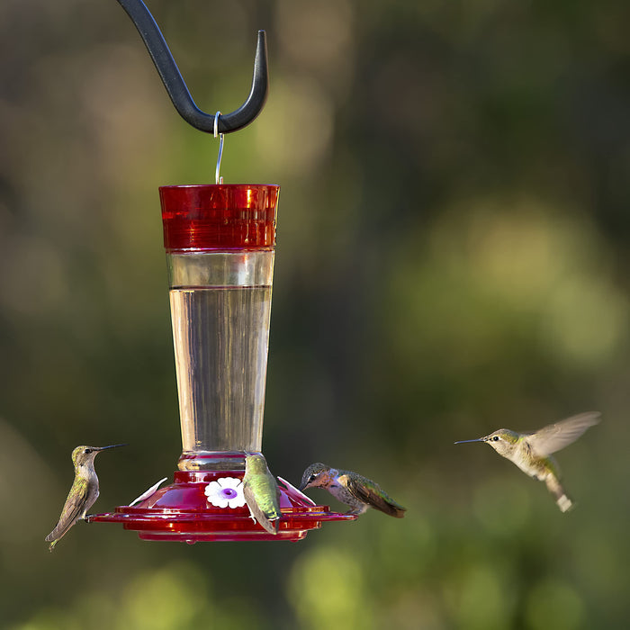 Classic Brands Ruby HumBird Feeder 10 oz