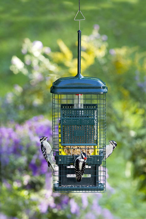 Squirrel Buster Suet Squirrel-Proof Suet Bird Feeder with Two Suet Cake Trays, Two Crumb Ports, Mess-Free Suet Loading, Durable Green Design for Clinging Birds