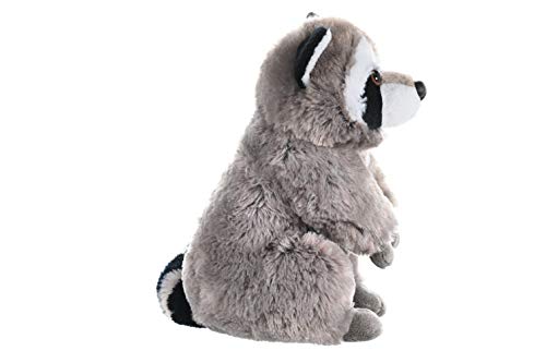 Plush Raccoon 12 inch