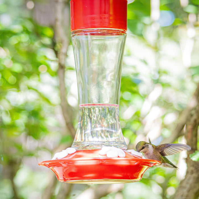 SCARLET SILHOUETTE GLASS HUMMINGBIRD FEEDER