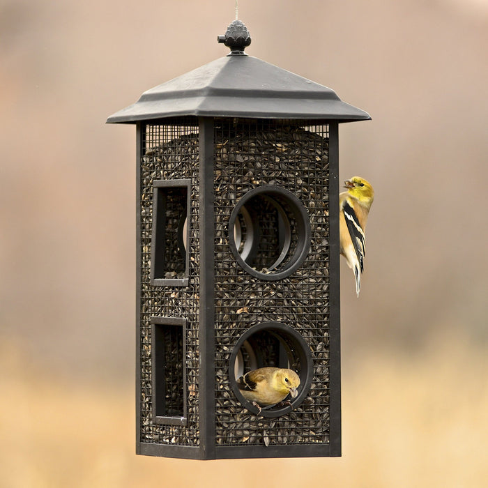 Fly-Through Feeder