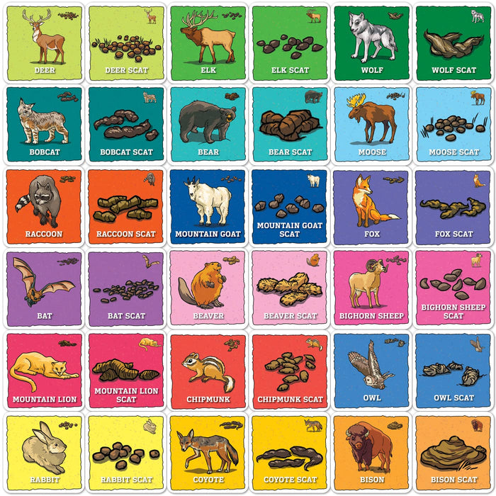 MasterPieces Puzzles Jr Ranger Animal Poop Matching Game