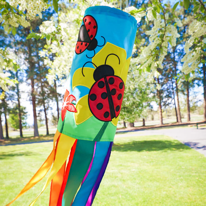 Ladybug Funsock
