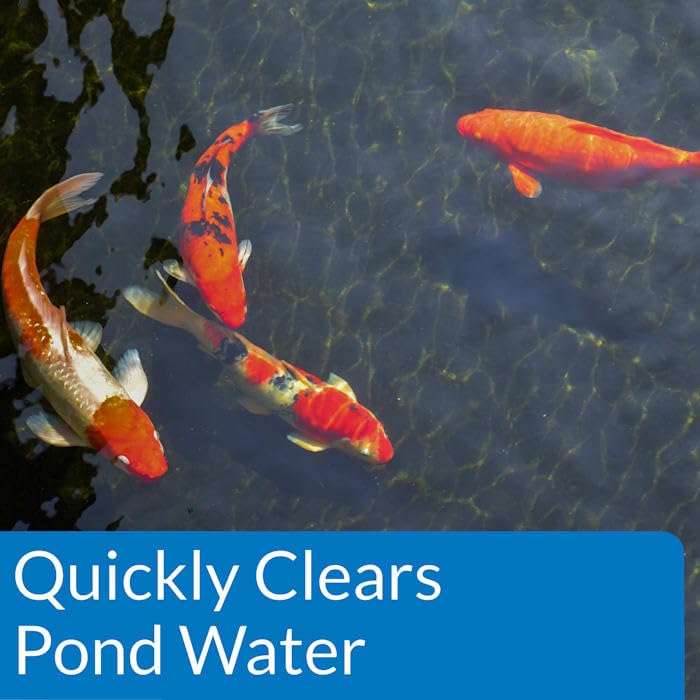 API POND ACCU-CLEAR WATER CLARIFIER