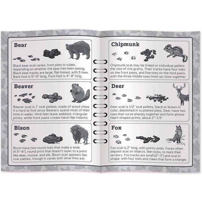 MasterPieces Puzzles Jr Ranger Poop Tracks Kids Card Game