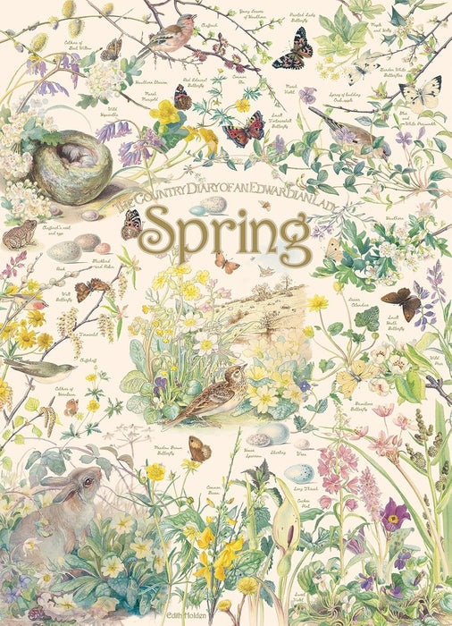 Country Diary: Spring Puzzle 1