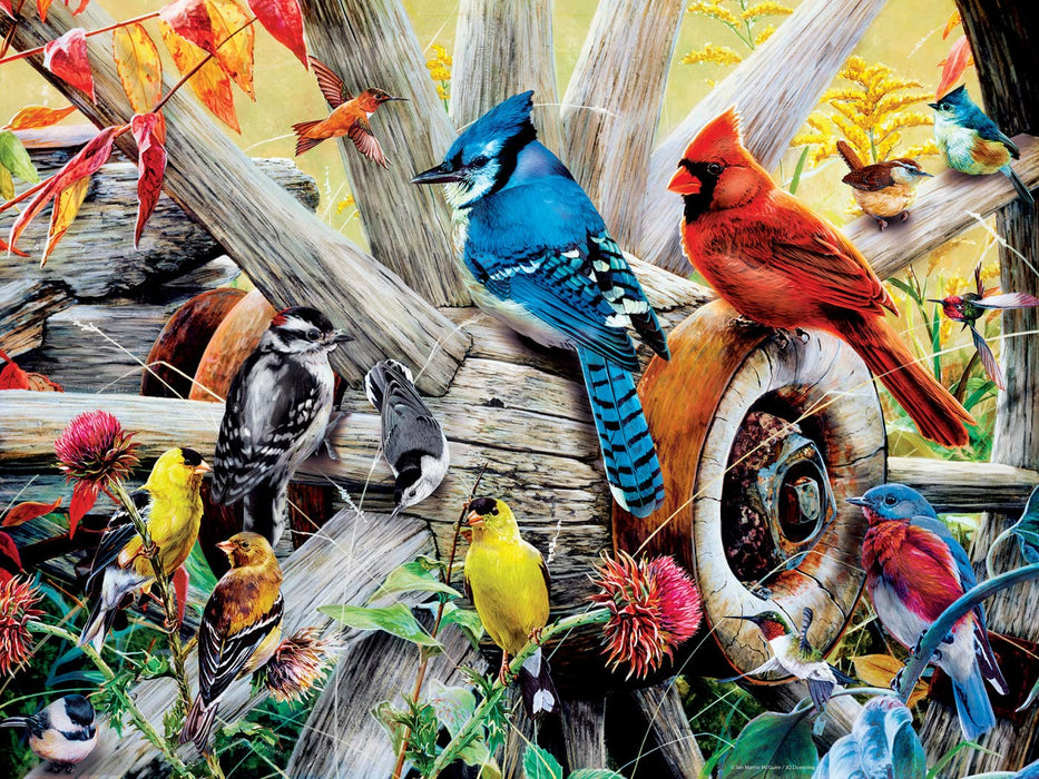 MasterPieces Puzzles Backyard Birds Puzzle 300pc