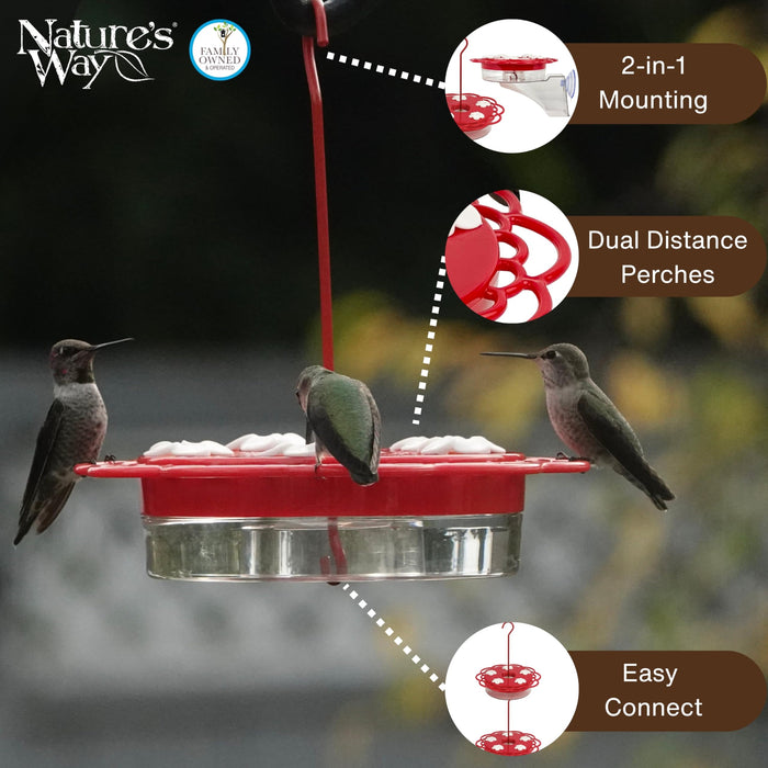 2-N-1 PLASTIC DISH HUMMINGBIRD FEEDER