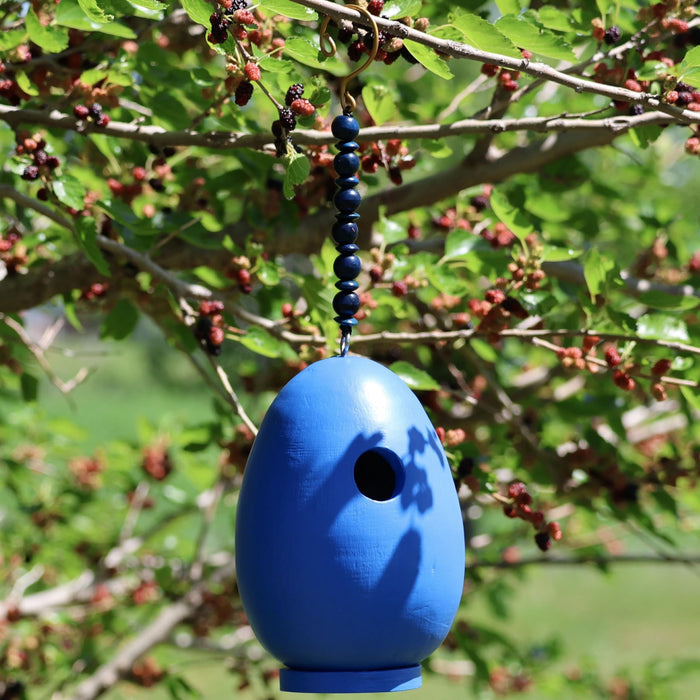 Bobbo from Songbird Essentials Blue Egg Bird House