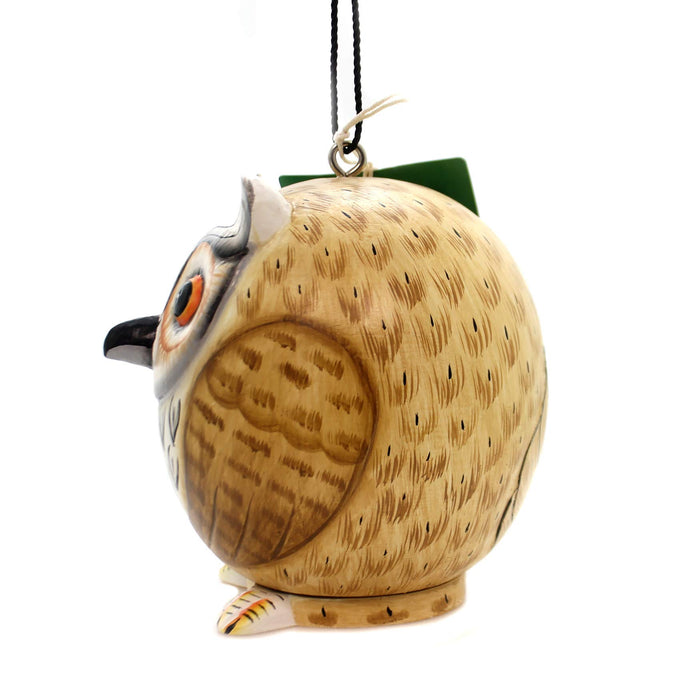 Bobbo from Songbird Essentials Owl Gord-O Bird House
