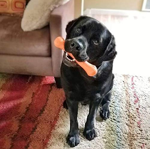 JOLLY PETS FLEX-N-CHEW BONE