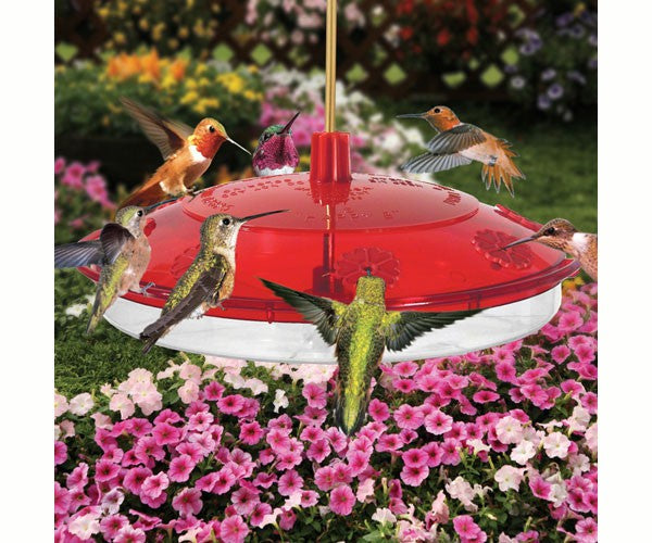 New Large Hummingbird Feeder