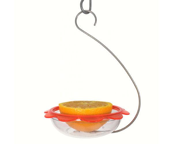 BO's Marmalade Hanging Feeder