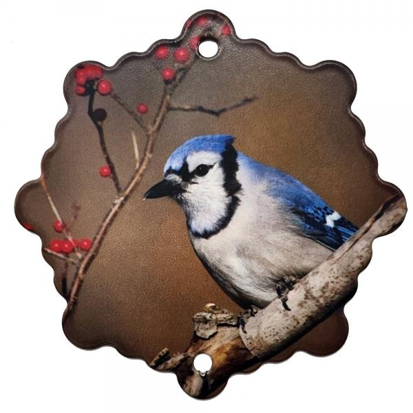 Next Innovations Bluejay 1 Ornament