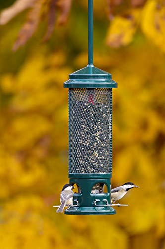 Squirrel Buster Legacy Squirrel-Proof Bird Feeder w/4 Metal Perches, 2.6-Pound Seed Capacity
