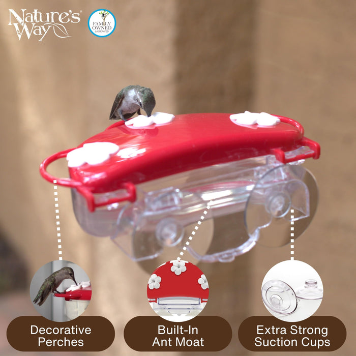 TRADITIONAL PLASTIC WINDOW HUMMINGBIRD FEEDER